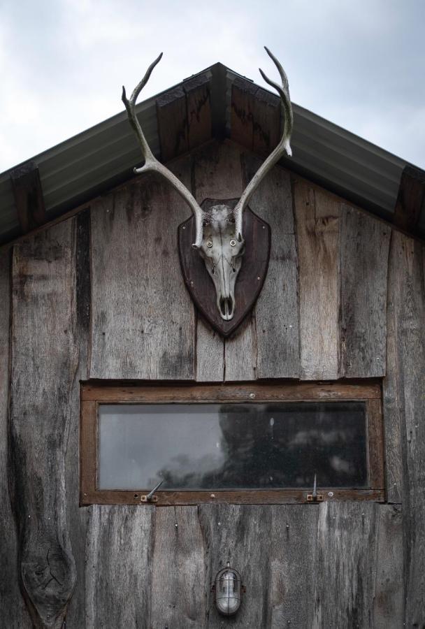 Glamping Fluffy Horns - Glempings Pukainie Ragi Plieņciems Exterior foto